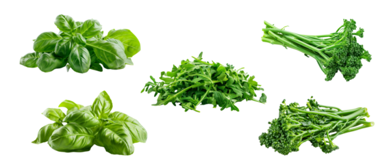 Fresh green leaves of basil florets of broccolini pile of arugula in center cutout set design elements