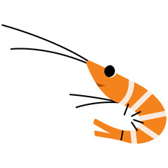 Shrimp single 2 cute on a white background, vector illustration.