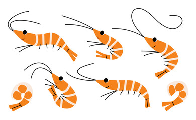 Shrimp 1 cute on a white background, vector illustration.