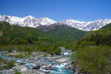 新緑の白馬大橋から眺めた風景