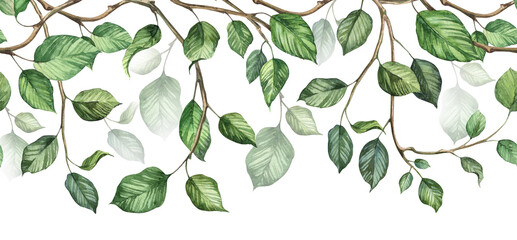 Long seamless banner with hanging ivy creeper plant. Watercolor hand painted realistic green leaves on branches. 