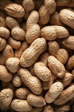 Peanuts (full picture, close-up)