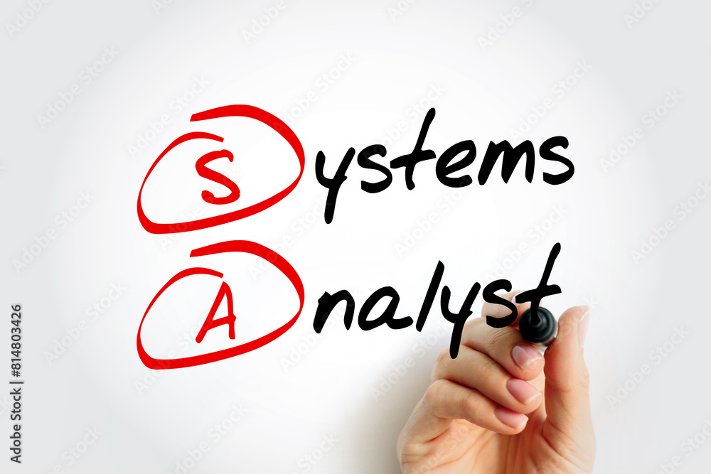 Poster sa - systems analyst is a person who uses analysis and design techniques to solve business problems 