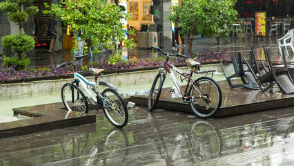 Fototapeta premium Bicycles stand in the summer rain on a city street.