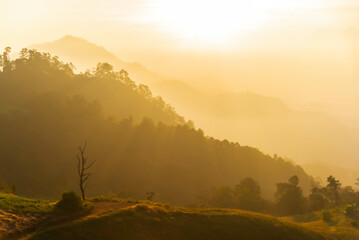 Mountain valley during sunrise. Natural summer landscape