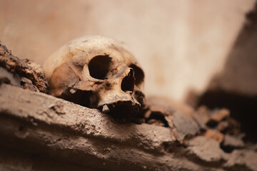 Ancient skull uncovered in catacomb depths