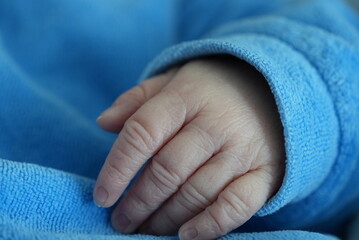 A macro shot of a newborn baby's tiny hand with fingers gently curled, dressed in a blue onesie,...