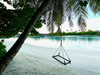 Swinging Serenity: Relaxing on a Beach Swing in the Maldives