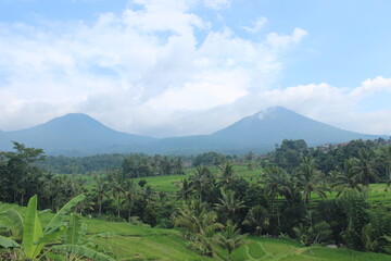 two mountains on the clouds, rice terraces, hill, landscpaes