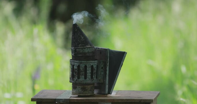 An old bee smoker placed on the top of a beehive lid puffing smoke in the air 