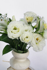 Flower, Plant, Dry flower, Flower pot, white background, still, Beautiful flower