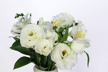 Flower, Plant, Dry flower, Flower pot, white background, still, Beautiful flower