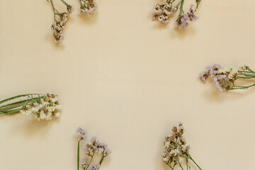 bouquets of dried flowers on a beige background. free space for text
