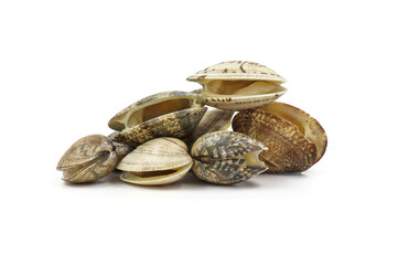 Closed up fresh baby clams, venus shell, shellfish, carpet clams, short necked clams, as raw food...