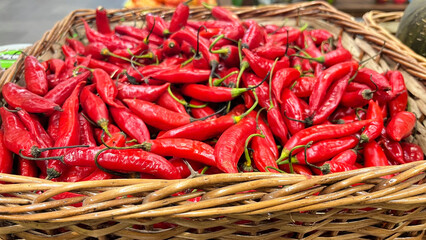 Mossa finger pepper, typical Brazilian pepper