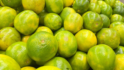 Fruit oranges in green and yellow colors