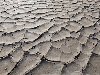 Cracked Ground at Mesquite Flat Sand Dunes, Death Valley National Park, California