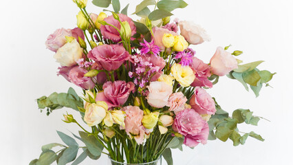 Flower, Plant, Dry flower, Flower pot, white background, still, Beautiful flower