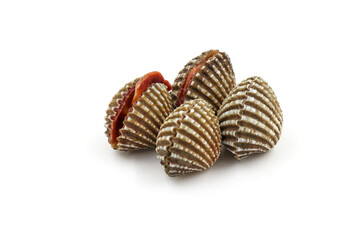 Fresh cockles  on a white background. Natural seafood.