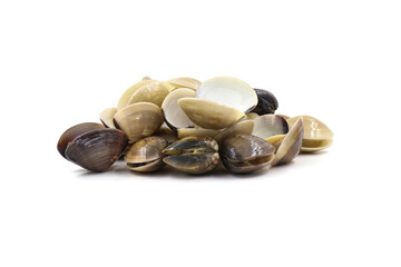 Closed up fresh baby clams, venus shell, shellfish, carpet clams, short necked clams, as raw food from the sea are the seafood ingredients. fresh clams isolated on white background.