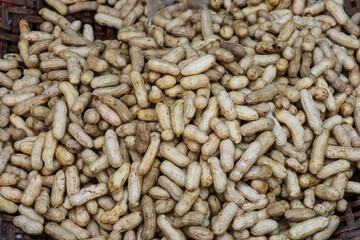peanut in a shell texture. food background of peanuts