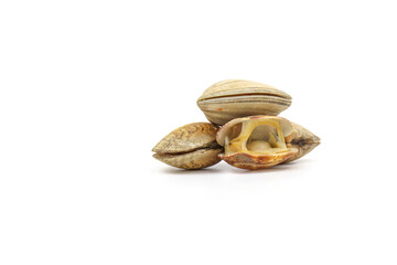 Closed up fresh baby clams, venus shell, shellfish, carpet clams, short necked clams, as raw food from the sea are the seafood ingredients. fresh clams Background.