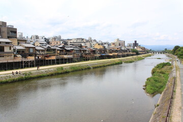 Fototapeta premium 京都の鴨川沿え