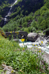 Ancient Stone Bridge in Switzerland