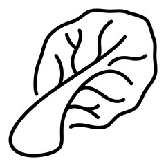 cabbage icon illustration