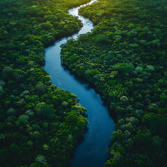 La selva amazónica con un gran río que corre verticalmente