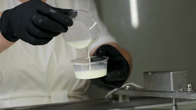 milk starter. Making homemade yogurt. Bacteria used to make yogurt. A woman adds a starter with yoghurt cultures to milk.