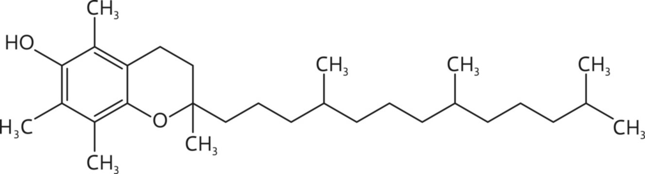 Vitamin E formula, line chemical structure of tocopherol molecular compounds. Vector chemistry, medicine and pharmacology science education, vitamin E fat soluble antioxidant structural formula