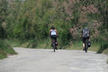 Obraz premium Cyclistes en promenade sur la route