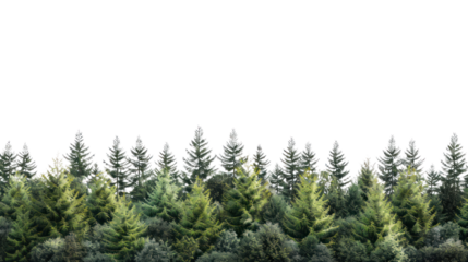 High definition Treeline isolated on transparent and white background.PNG image.