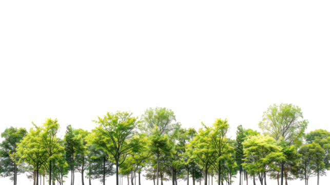 High definition Treeline isolated on transparent and white background.PNG image.