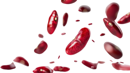 Falling red kidney beans isolated on transparent and white background.PNG image.