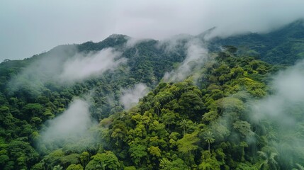 Aerial view of the Monteverde Cloud Forest in Costa Rica, a lush, high-altitude forest known for its dense fog and rich b