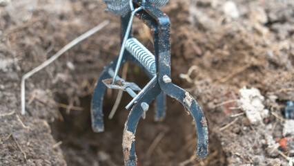 Farmer's hand sets up rodents to catch rodents on the site
