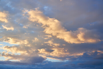 Sky daylight. Natural sky composition.