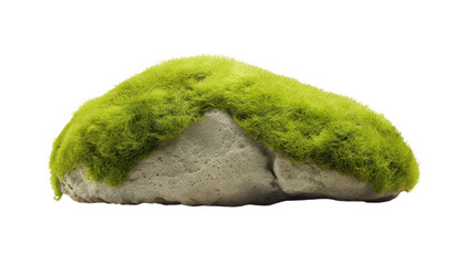 a smooth, gray river rock with vibrant green moss growing on its surface, isolated on transparent and white background.PNG image.