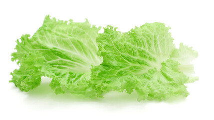 Fresh lettuce on white background
