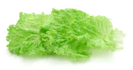Fresh lettuce on white background
