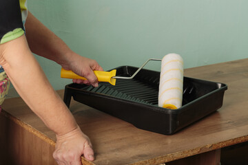 A woman is holding a paint roller, poised to coat it with white paint from the black tray, ready to start painting a wall with new color in a room undergoing renovation. Female hand holds paint roller