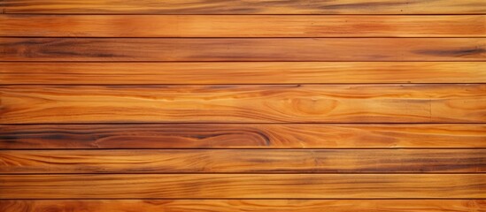 Fototapeta premium Beautiful abstract texture banner with copy space image showcasing the intricate wood wall texture and wooden background