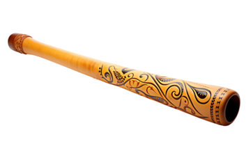 A didgeridoo is a wind instrument that is played by blowing air through a long, hollow tube. It is a traditional instrument