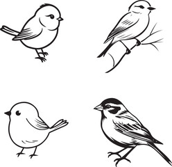 black and white drawing of bird outline