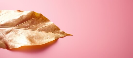 Closeup of an edible gold leaf sheet on a pink background providing space for text in the image. Copyspace image