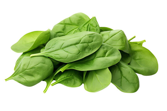 Fresh spinach leaves isolated on transparent background.