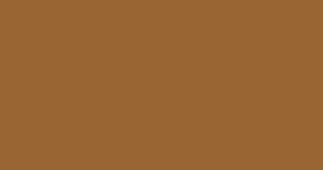 Plain Brown Single Solid Colour Background illustration