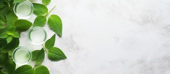 A flat lay composition features bottles of mint essential oil and fresh green leaves arranged on a white marble table leaving room for text. Copyspace image
